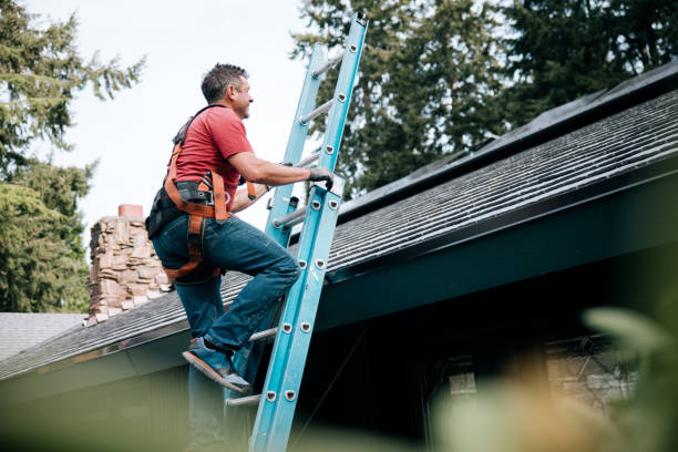 Best Roof Moss and Algae Removal  in Westlake, OH